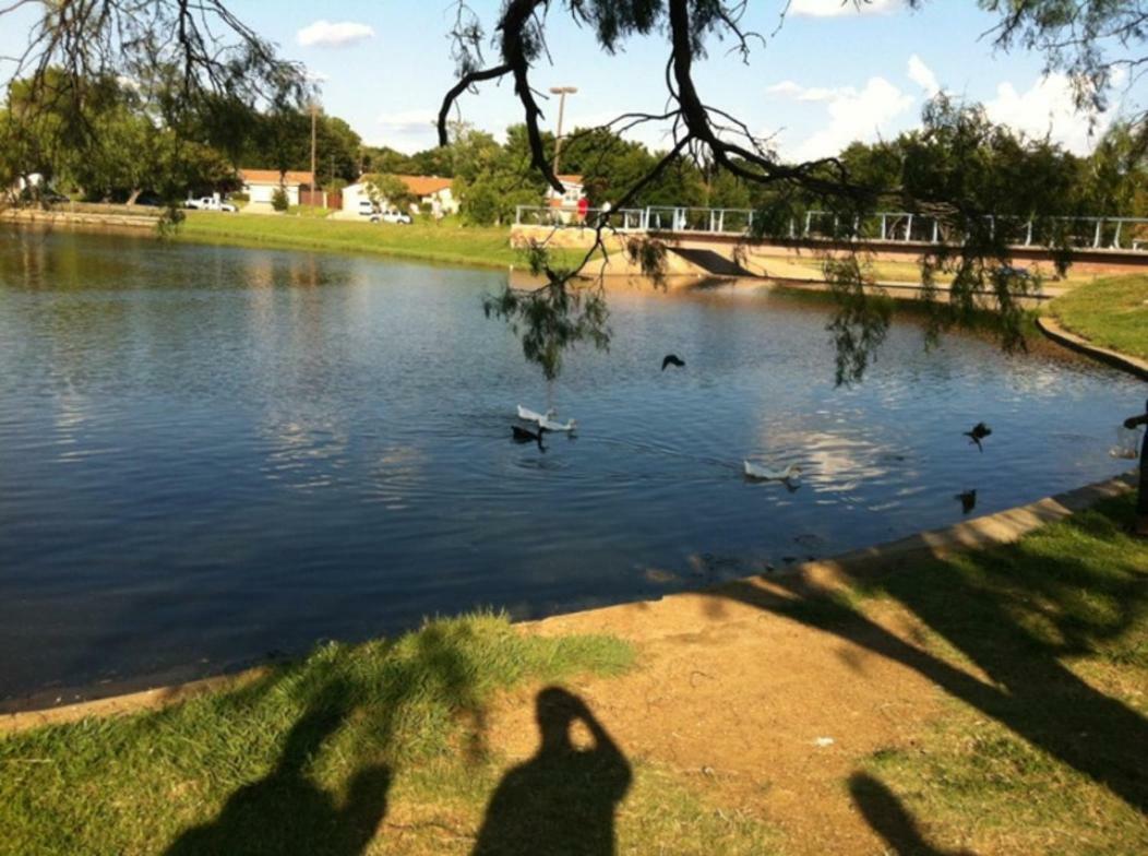 Oasis Near Dfw Airport With Mediterranean Setting เออร์วิง ภายนอก รูปภาพ
